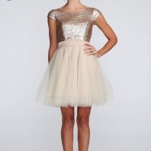 Sequin Tan Blush Tule Dress